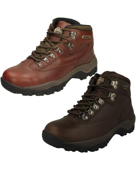 Northwest Territory Ladies Leather Hiking Walking Waterproof Ankle Boots Peak Da Women