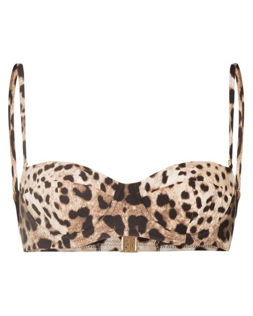 Dolce & Gabbana leopard-print bikini top in Brown