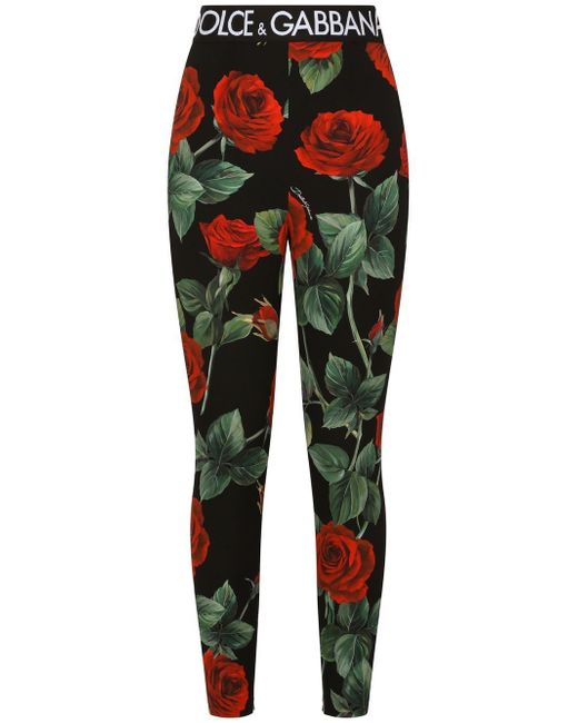 Dolce & Gabbana rose-print charmeuse leggings in Black