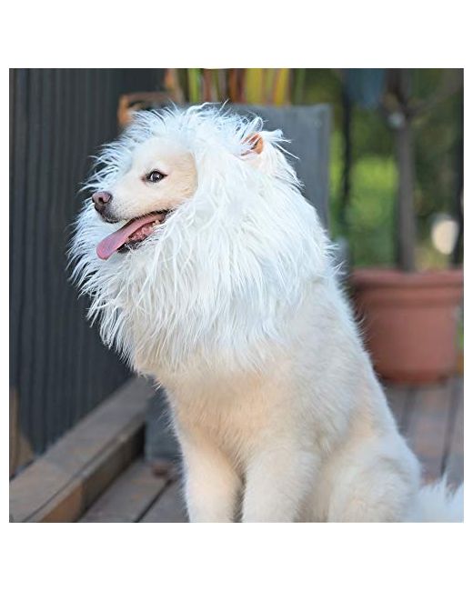 Onmygogo Lion Mane Wig For Dogs With Ears Funny Pet Costumes Halloween Christmas L  Di Colore Bianco