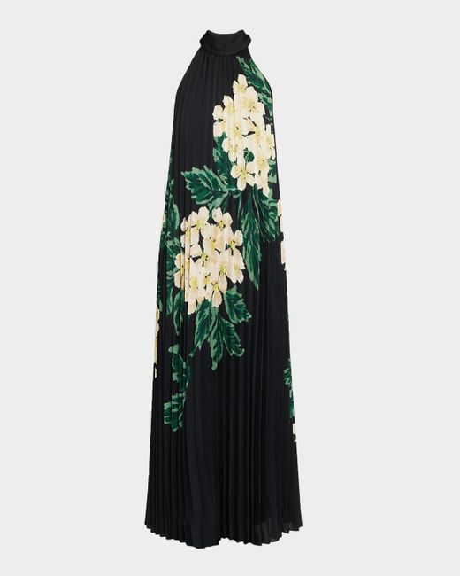 Ungaro Women's Multicolor Lester Pleated Floral-Print Trapeze Maxi Dress