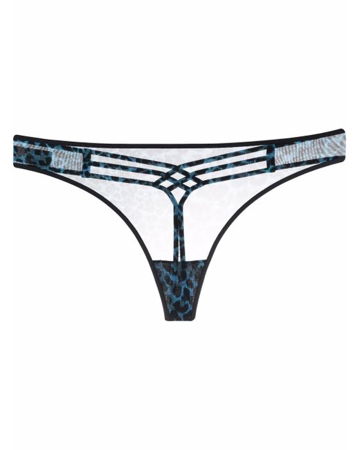 wing powerbutterfly thong | black lace and grey