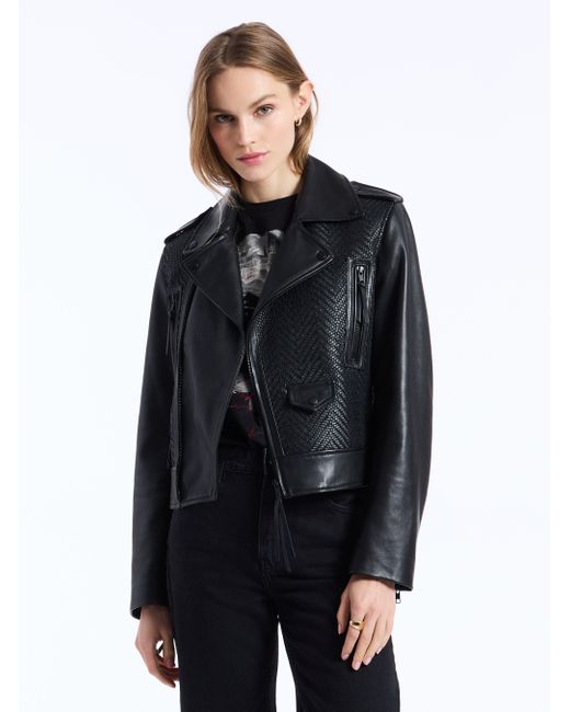 Robert Graham Women's Black Clara Leather Jacket
